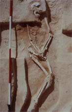 mungo 3 skeleton